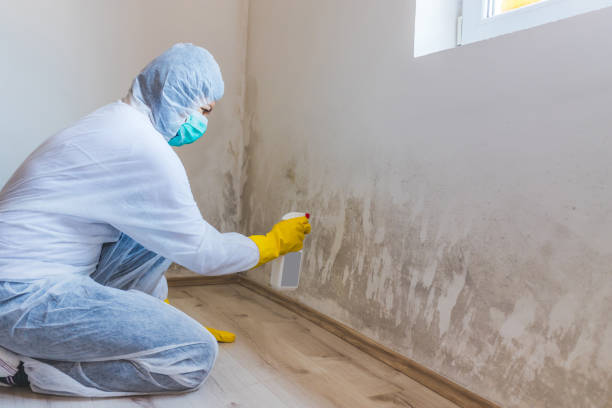 Best Post-Flood Mold Remediation in Fitzgerald, GA