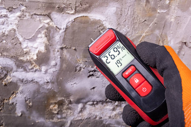 Fitzgerald, GA Mold Remediation Company