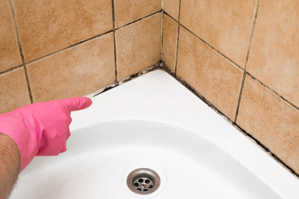 Best Health and Safety Mold Remediation in Fitzgerald, GA